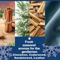 Advent Calendar 2025 for Adults, BODY & EARTH 24-Day Mens Advent Skincare Calendar 24PCS Beard Care Grooming Set, 2025 Beauty Countdown Calendar Christams Holiday Suprise Gift for Dads Boyfriend